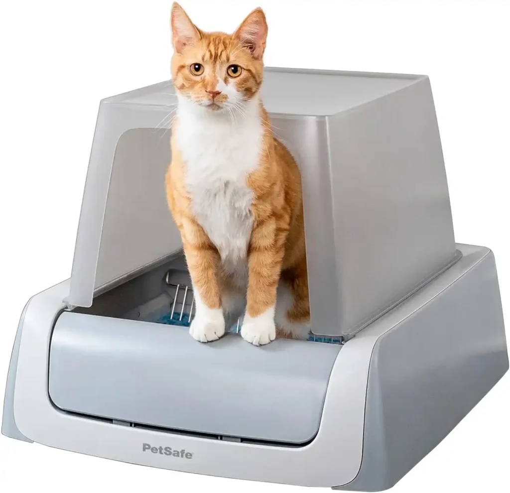 La siguiente revolución para tus gatos es este arenero automático e  inteligente: conoce ChouBox